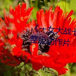 《一女大战七个黑人到喷浆》完整版动作片