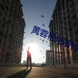 黃蓉豔淪落傳1-40txt