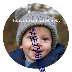 学生奶粉(fěn)品牌(pái)