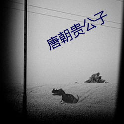 唐朝贵公子