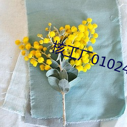 核工厂01024