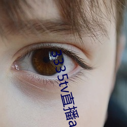 3335tv直播app下載