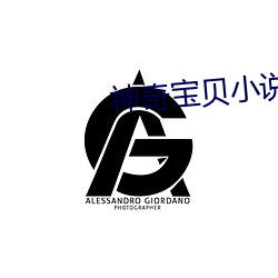 神奇宝贝小说