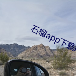石榴app下载ios （正宗）