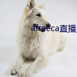 afreeca直播入口