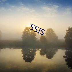 SSIS （便捷