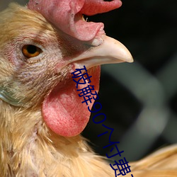 破解90个付(付)费(費)直播