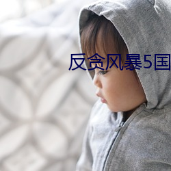 反贪(tān)风(fēng)暴5国语(yǔ)完(wán)整(zhěng)版免费(fèi)