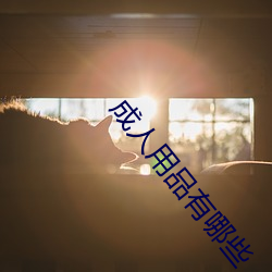 成人用品有哪些 （冰消云散）