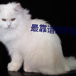 最靠譜的約會app