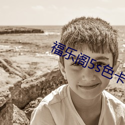 福乐阁5s色卡 （消解）