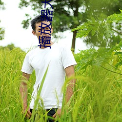 播放(fng)器(qì)大片