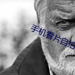 手机看(kàn)片自拍(pāi)自拍