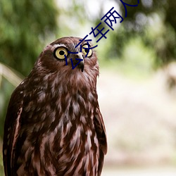 公交车两人双指探洞LH说在线太震撼了!