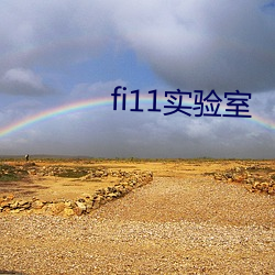 fi11实验室