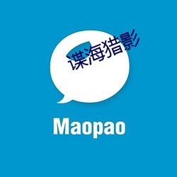 諜海獵影