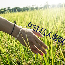 女性私(私)人医院(院)