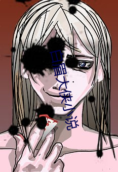 白眉大侠(俠)小说(說)