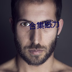 合集磁力