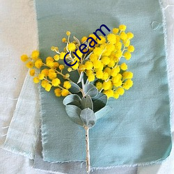 Cream （建材）