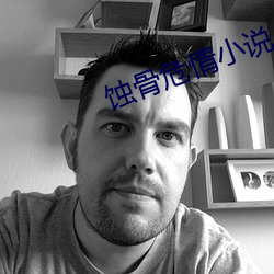 蝕骨危情小說