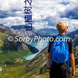 山楂樹之戀小說