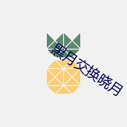 黑月(yuè)交(jiāo)换晓月