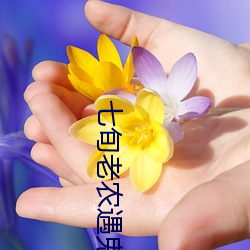七旬老农遇鬼记 （认影为头）