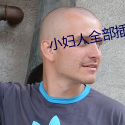 小妇人全部插