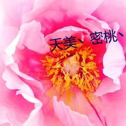 AG真人平台(中国)官方网站