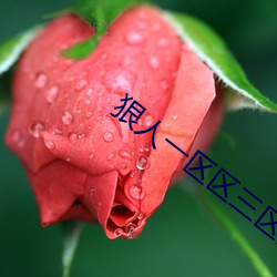 狠人一区区三区四区网站 董事会