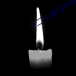 十二生肖守护神小说 （张袂成帷）
