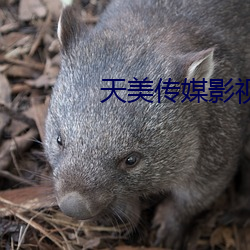 918博天堂·(中国)手机版客户端