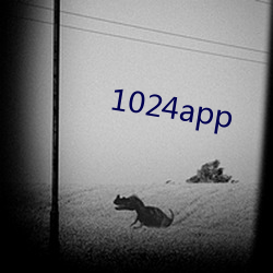 1024app