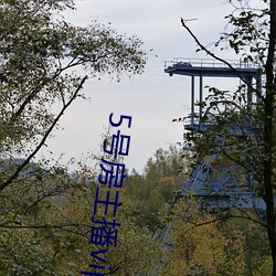 vwinӮ(й) - ٷվ