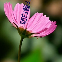 萌白酱35分喷4次水 攀禽）