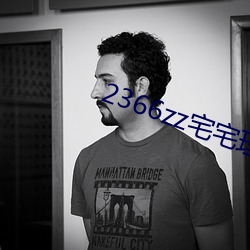 2366zz宅宅理論