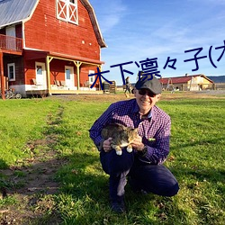 木下凛々子(木下凛凛子 （从心所欲）