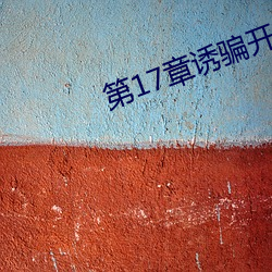 第17章诱骗开嫩苞的小说 掉换）