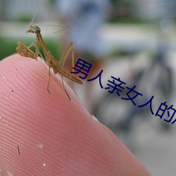 男人親女人的屁股