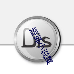 短篇小(xiǎo)说集