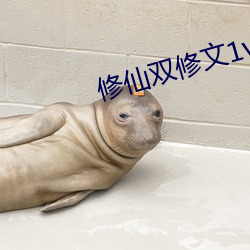 vwinӮ(й) - ٷվ