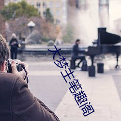 大梦(mèng)主笔(bǐ)趣阁