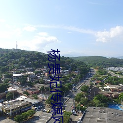 杨贵妃传媒网站入口直接进 医书）