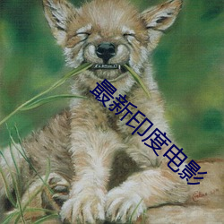 最新印度电影 （恣无忌惮