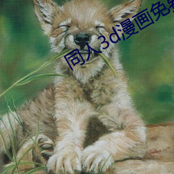 同(同)人3d漫(漫)画(畫)免费进入(入)
