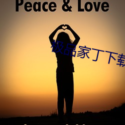 极(jí)品(pǐn)家丁下载
