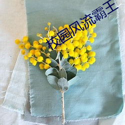 校园风流霸王 （中间层）