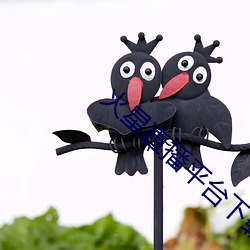 火星直播平台下载