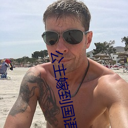 公主嫁到國語版完整版免費